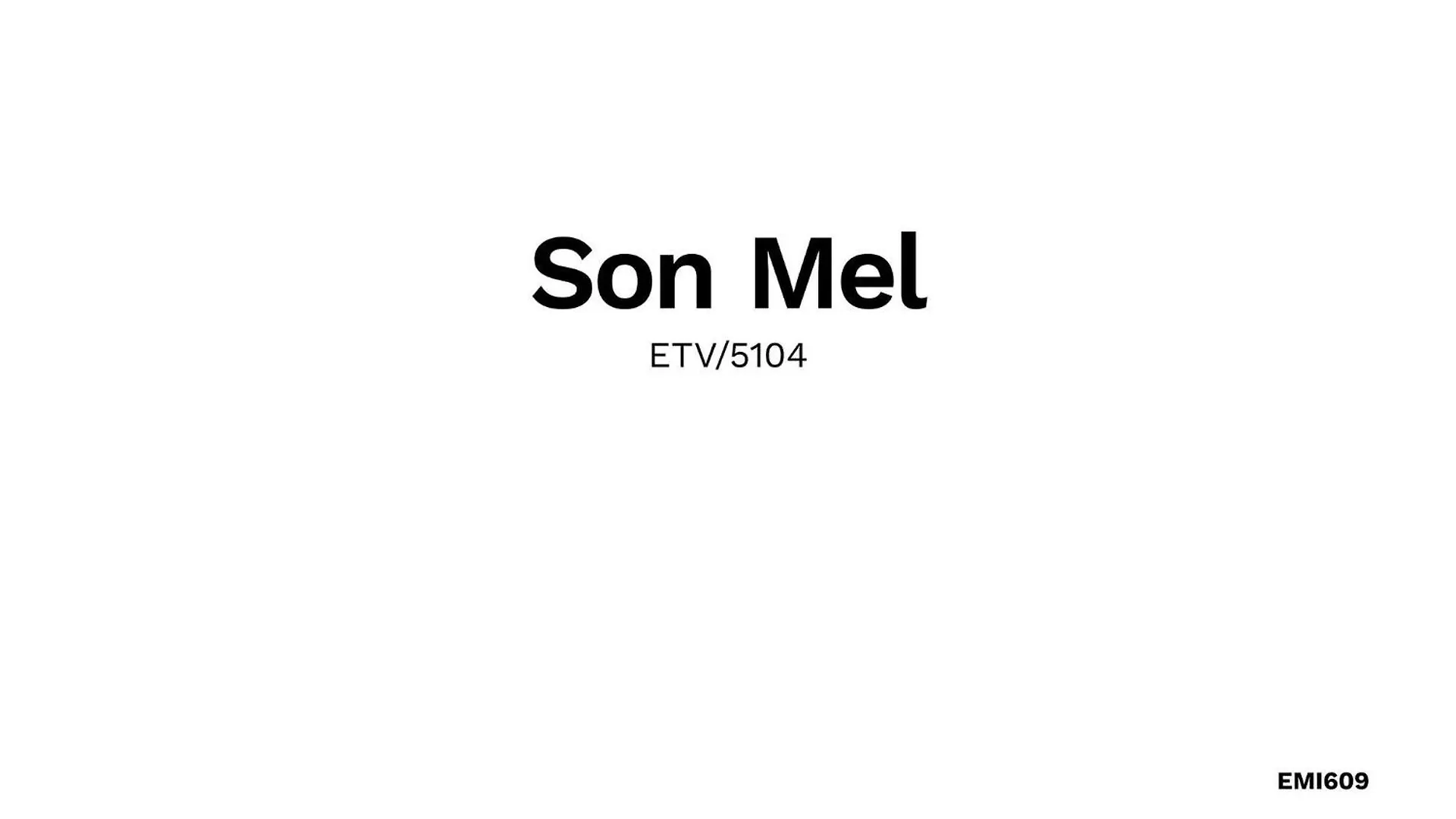 ペトラ Son Melヴィラ スペイン